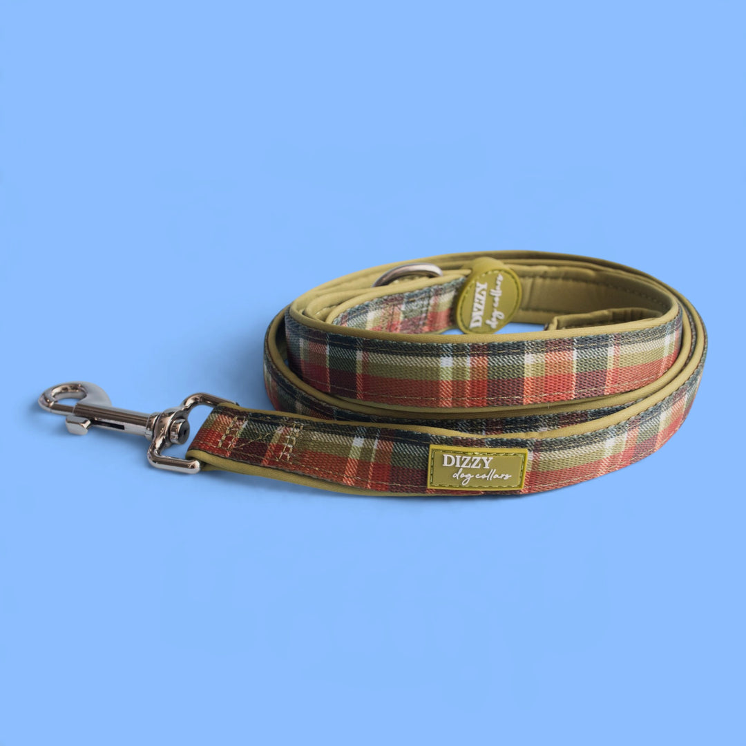 An Olive Christmas  Dog Leash | Fully Padded Dog Leash
