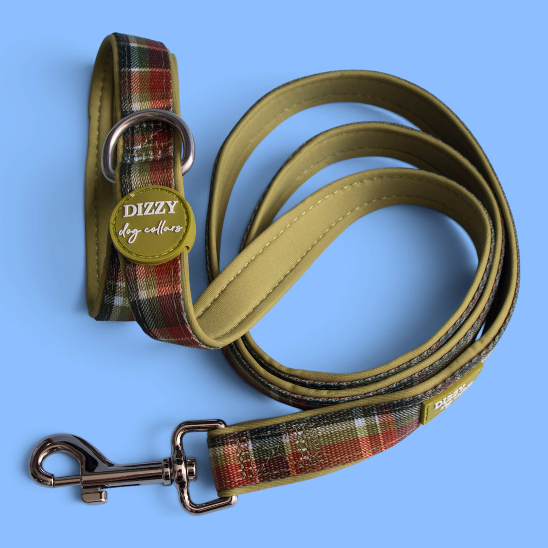 An Olive Christmas  Dog Leash | Fully Padded Dog Leash
