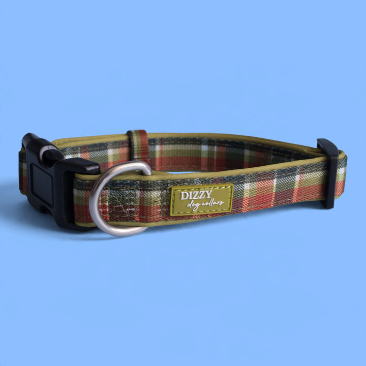 An Olive Christmas Dog Collar | Neoprene Dog Collar
