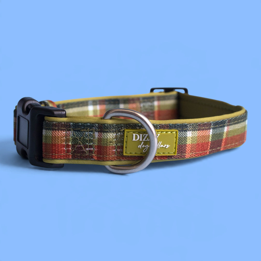 An Olive Christmas Dog Collar | Neoprene Dog Collar
