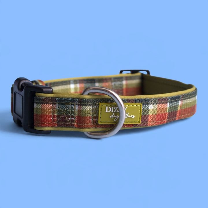 An Olive Christmas Dog Collar | Neoprene Dog Collar