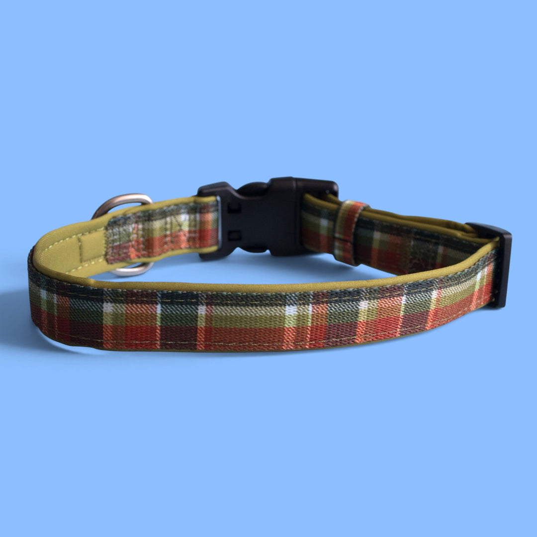 An Olive Christmas Dog Collar | Neoprene Dog Collar