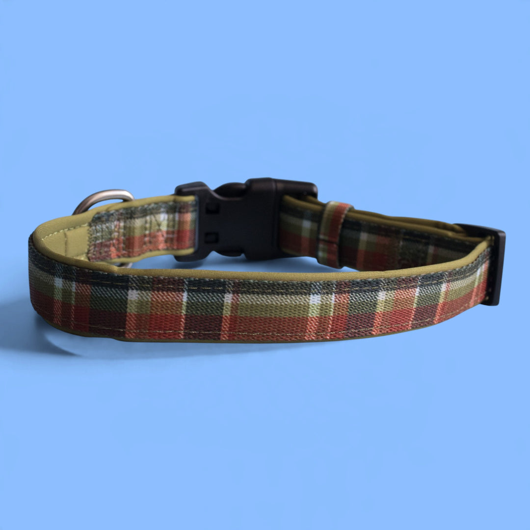 An Olive Christmas Dog Collar | Neoprene Dog Collar