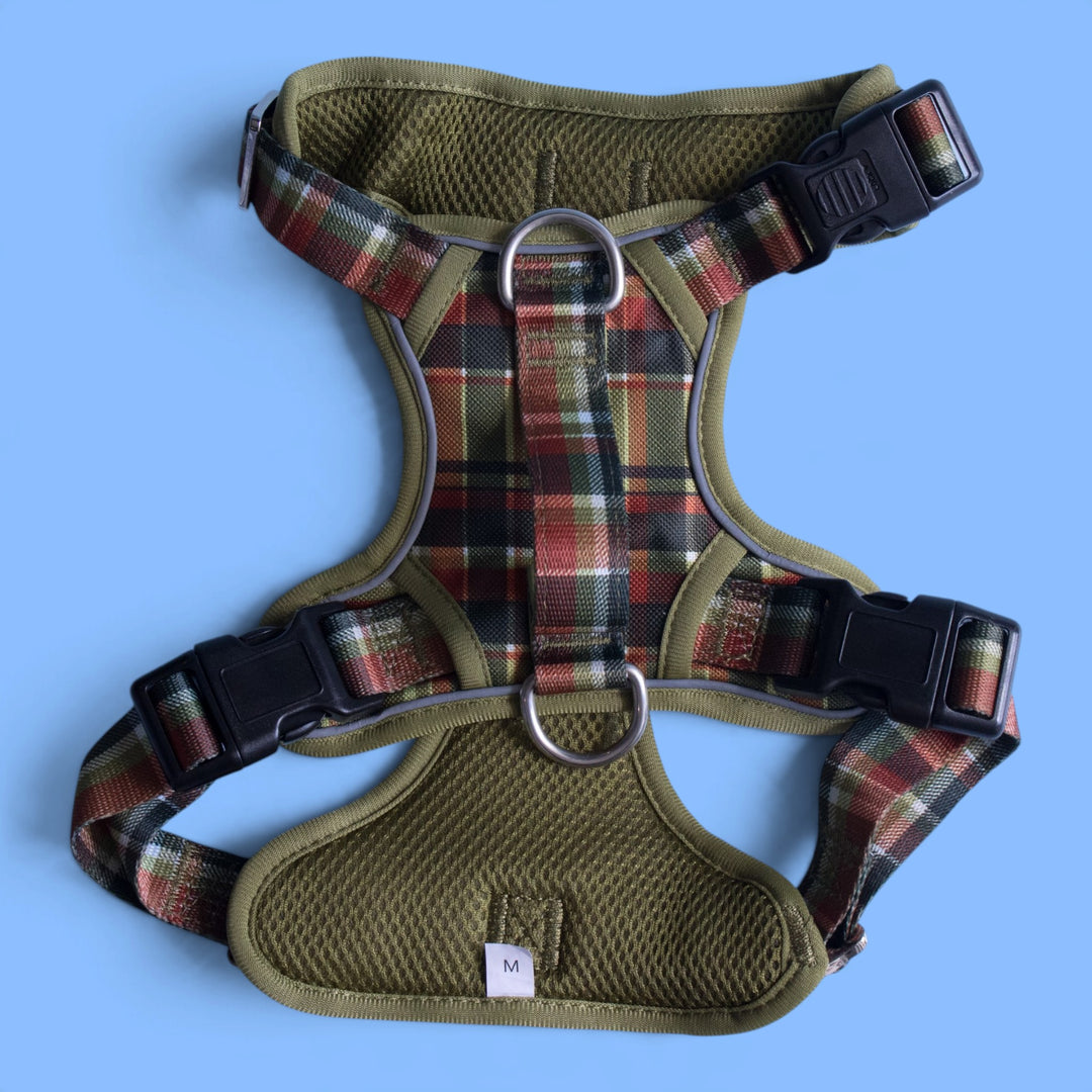 No Pull Dog Harness: An Olive Christmas