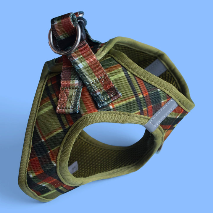 An Olive Christmas : Step In Dog Harness