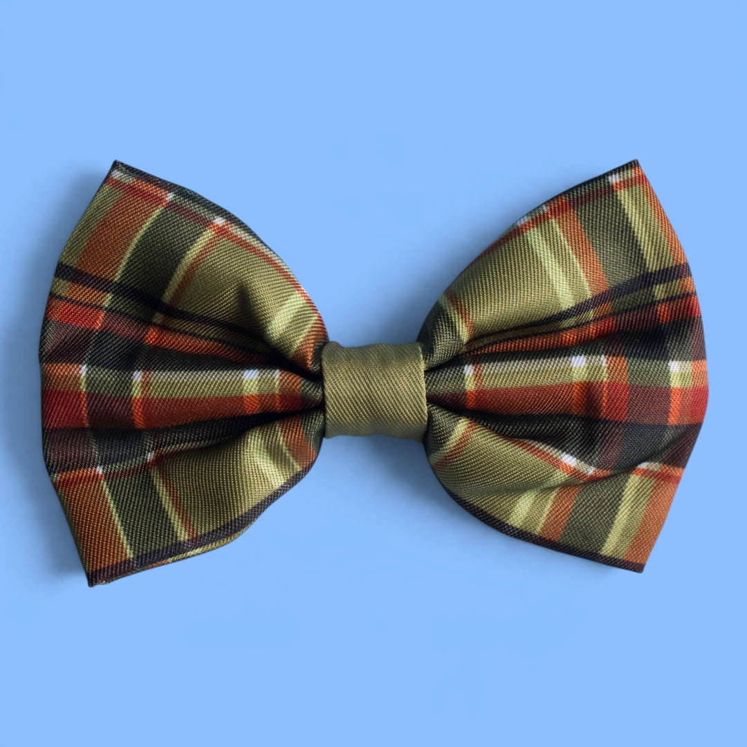 An Olive Christmas  : Bow Tie