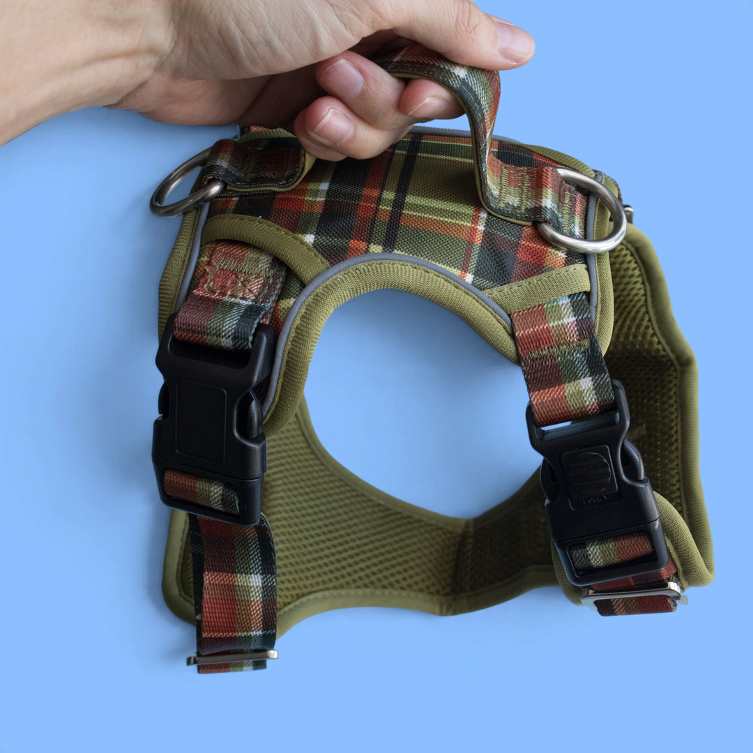 No Pull Dog Harness: An Olive Christmas