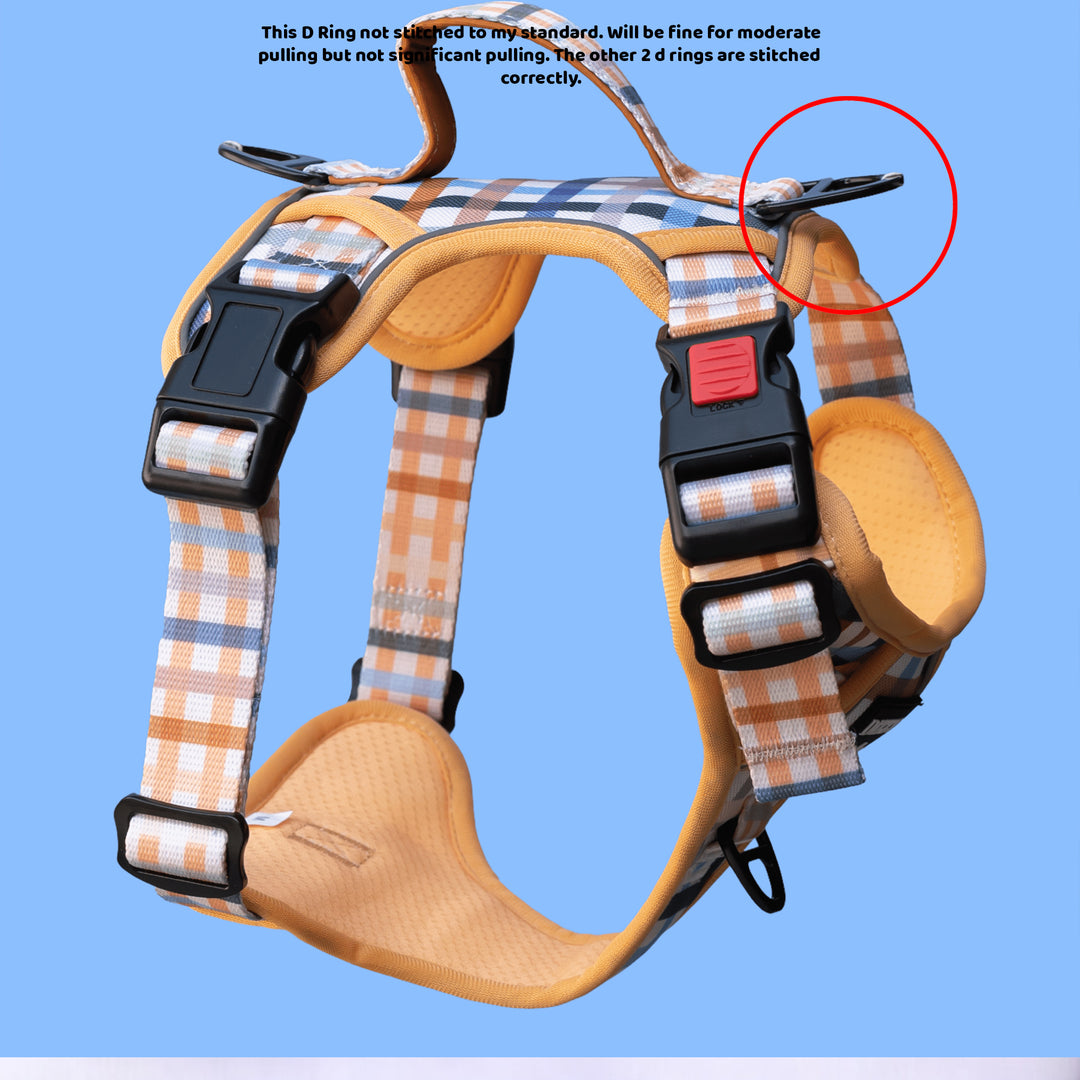****SECONDS*** No Pull Dog Harness with Handle | Vintage Gingham (Large)