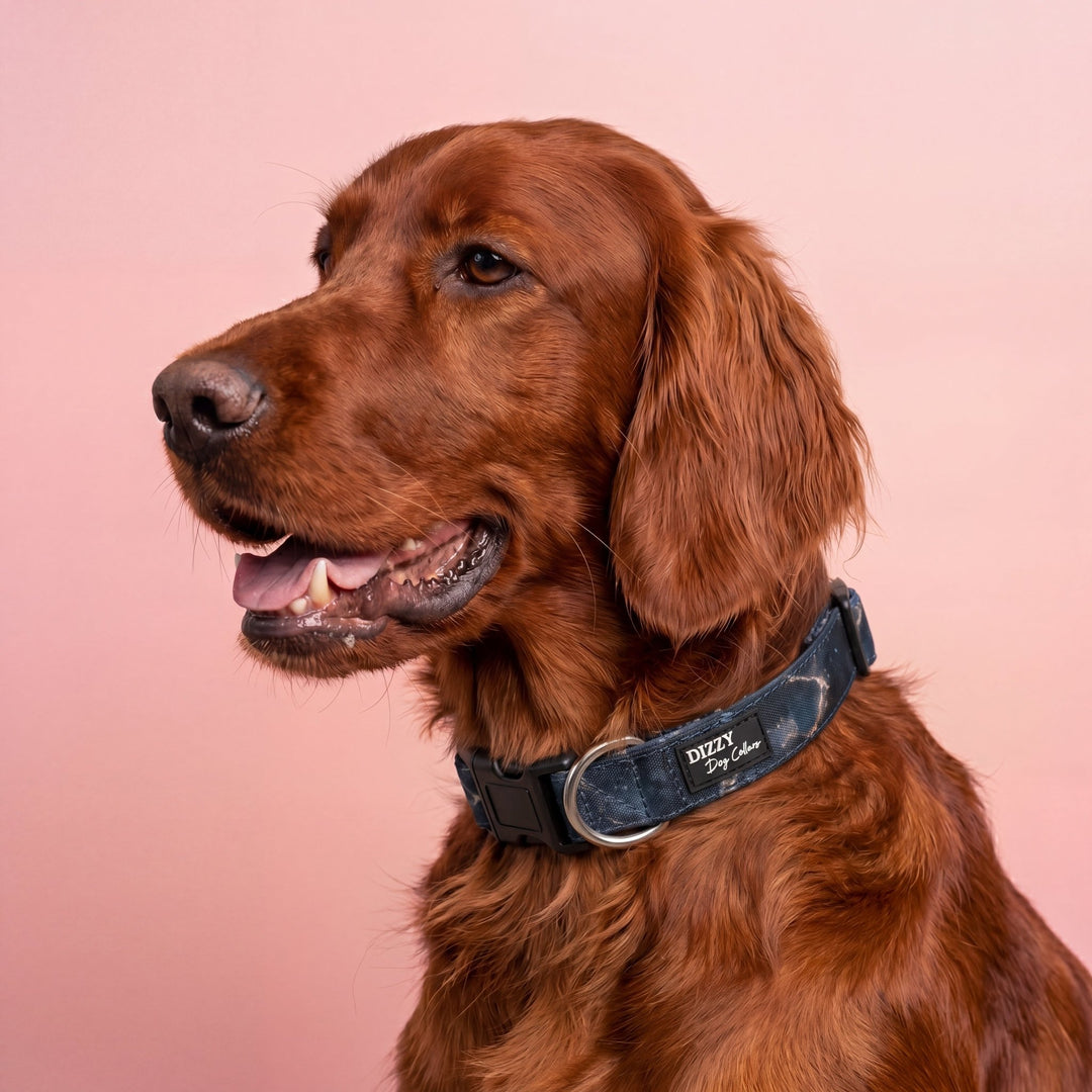 Nebula Nightfall  Dog Collar | Neoprene & Stainless Steel Dog Collar