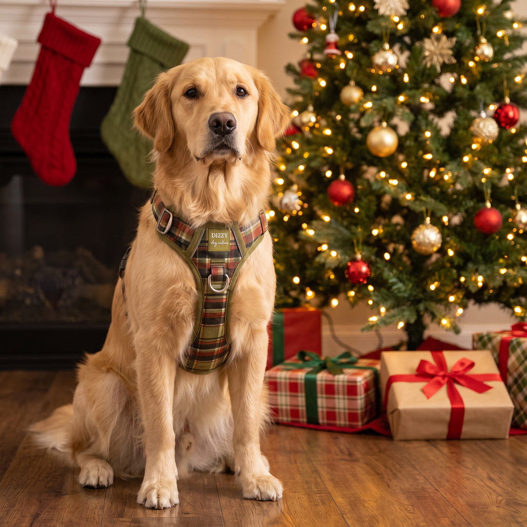 No Pull Dog Harness: An Olive Christmas