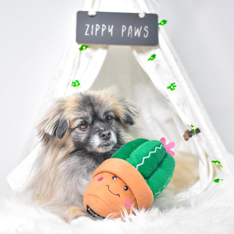 Zippy Paws - Carmen the Cactus-Dizzy Dog Collars-Dizzy Dog Collars