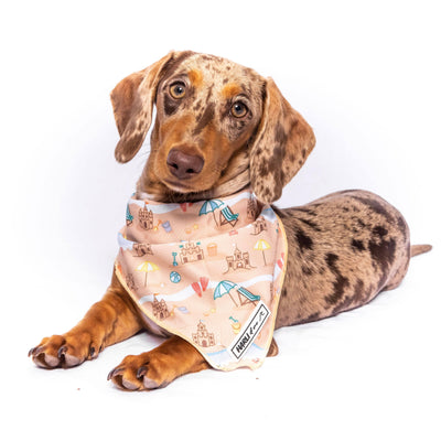 Cabarita: Bandana-Bandana-Dizzy Dog Collars