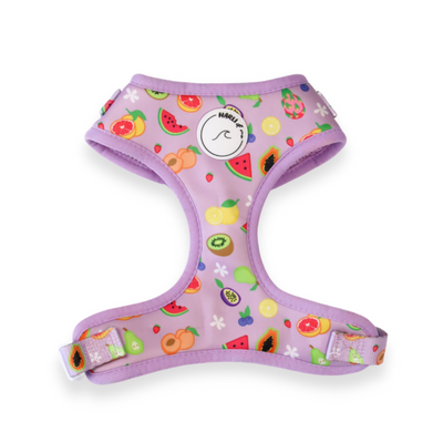 Paradise Punch: Adjustable Harness-Harness-Dizzy Dog Collars