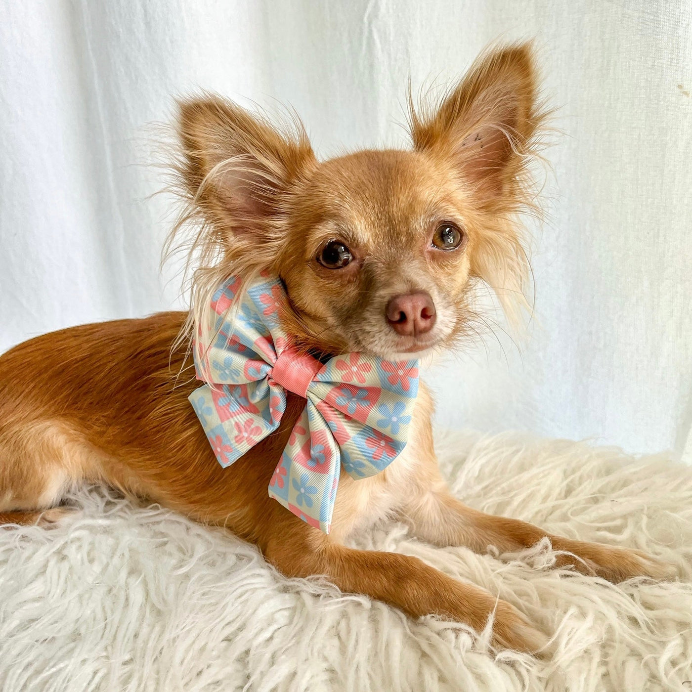 Petal & Pup: Sailor Bow Tie-Bow Tie-Dizzy Dog Collars