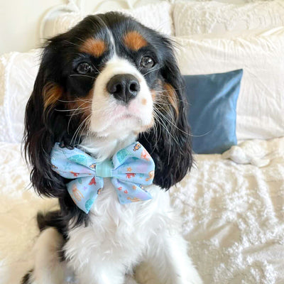 Finding Harli: Sailor Bow Tie-Bow Tie-Dizzy Dog Collars